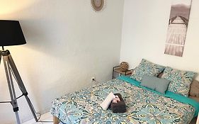 Appartement Des Remparts De Carcassonne